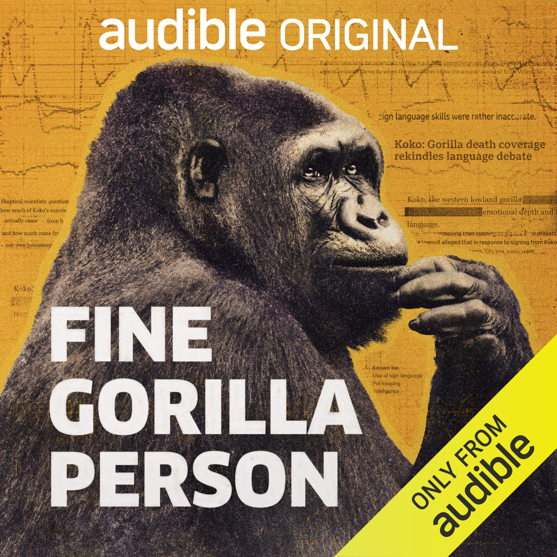 Fine Gorilla Person film featured shot.